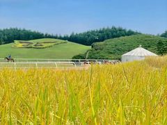-迪茵湖田家舍生态农场