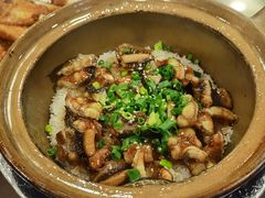 白鳝黄鳝双拼-红星光发煲仔饭(文海店)