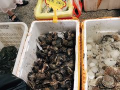 大海螺-渔人湾码头海鲜市场负二楼