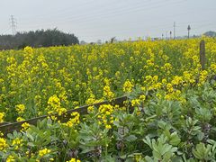 -桤木河湿地公园