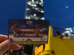 -Big Bus Tours 敞篷观光巴士