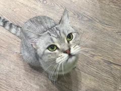 -小时光咖啡馆(开森度假森林店)