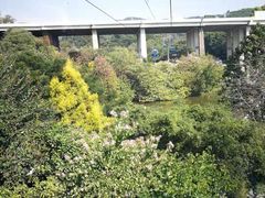 -白云山索道-售票处