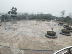-羊山湖公园