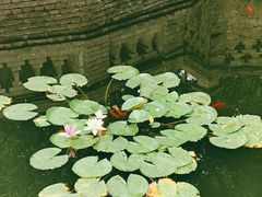 -华清宫景区