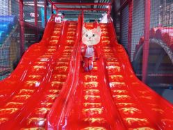 -玩元素·家庭游乐成长中心(香格里拉店)