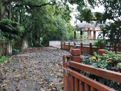 景点-佛图关公园