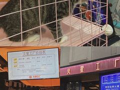 -火星工厂·桌游·团建聚会·轰趴馆(厦滘店)