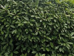 -苏宁易购(上海沪太路二店)