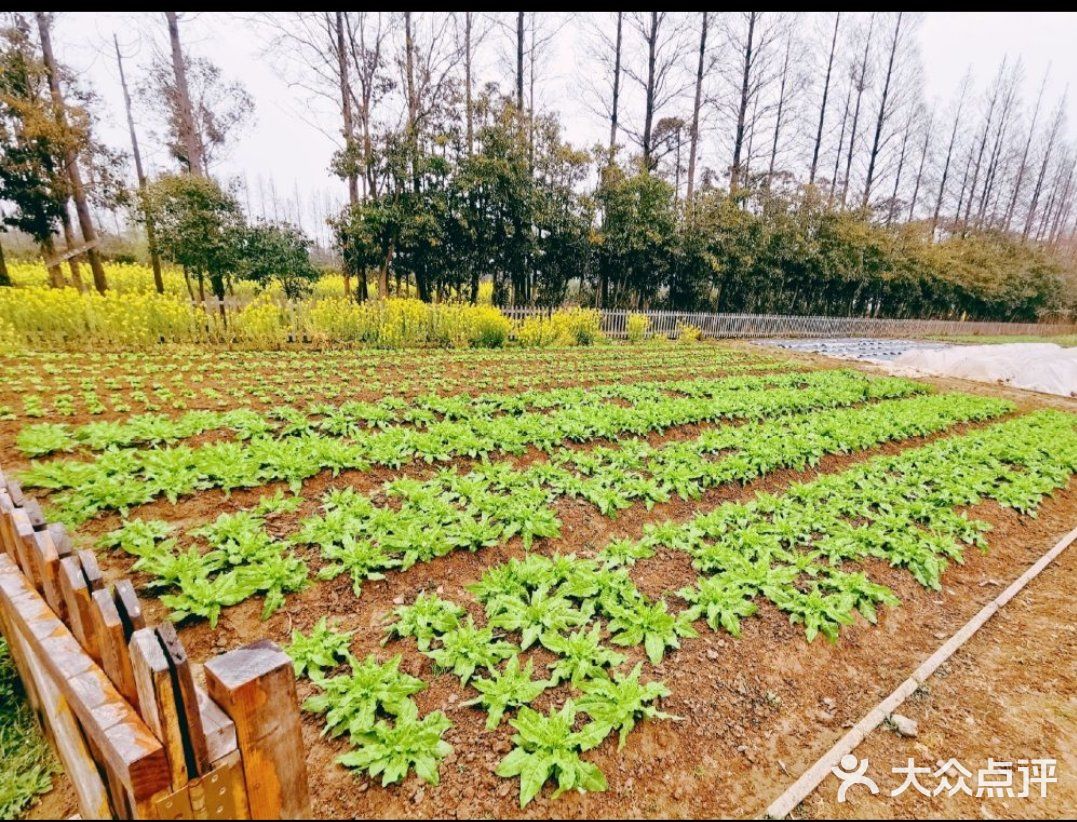 春遊好去處創意農場