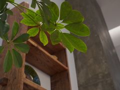 -卡旺卡(芜湖步行街一店)