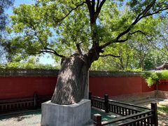 -天宁寺