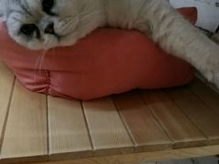 -赛百味SUBWAY(星摩尔店)