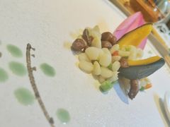 彩色水八珍-叶叶菩提·晋福宫