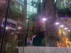 -正佳雨林生态植物园