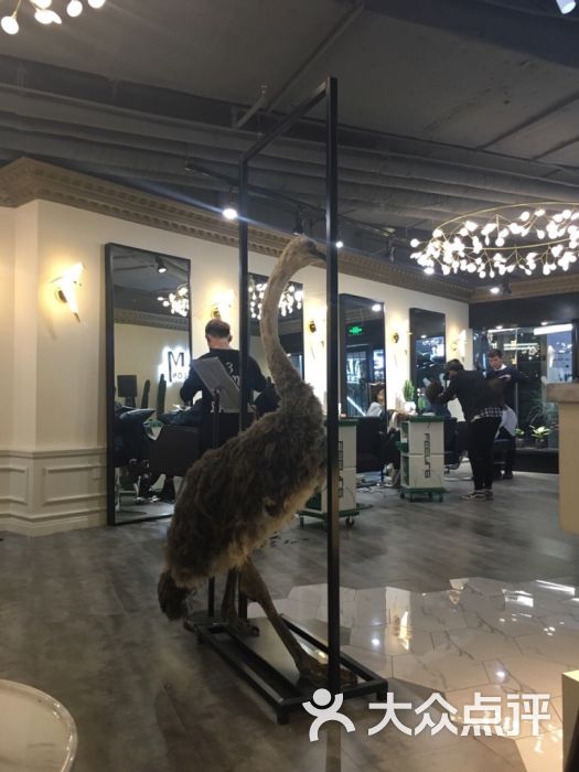 3am hair salon烫发染发接发(北京二店)图片 - 第4张