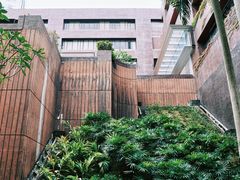 -香港大学