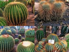 -国家植物园