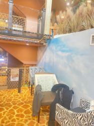 -卡通尼·Safari非洲探索乐园·生日会(金桥国际商业广场店)