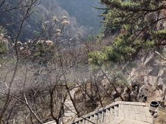 -崂山九水游览区