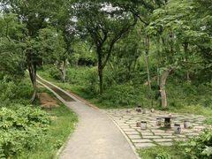 -青龙山国家森林公园