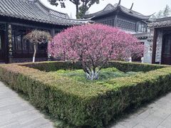 -梅园