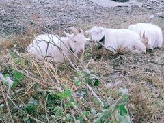 -观潮胜地公园