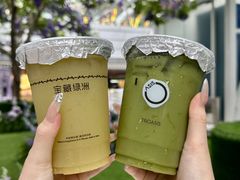 -宝藏绿洲(万象前海店)