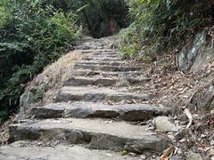 -东天目山风景区