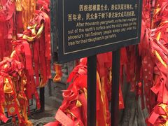 -关林