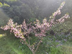 -八卦田遗址公园