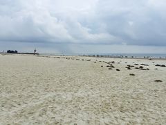 -北海市海滨公园