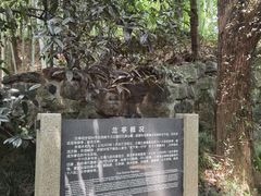 -兰亭风景区