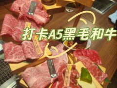 -俺的焼肉(銀座9丁目店)