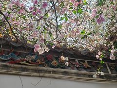 -深圳国际园林花卉博览园