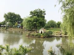 -鹅湖玫瑰文化园