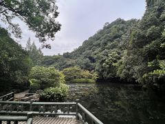 -龙井村