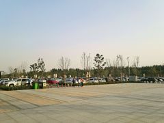 -卡吉诺动物奶油生日蛋糕(蓝堡湾店)