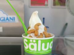-Salud撒露欧洲冻酸奶(蓝色港湾店)