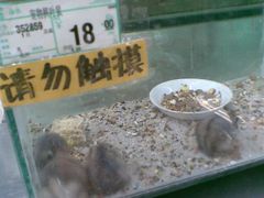 -物美超市(下沙店)