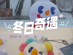 -少华山国家森林公园