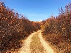 -塞罕坝国家级自然保护区