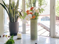 -蝶舍·MAISON PAPILLON