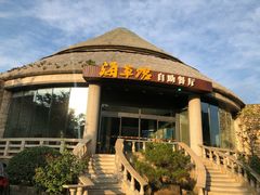 海鲜自助餐-海草馆自助餐厅(悦海店)