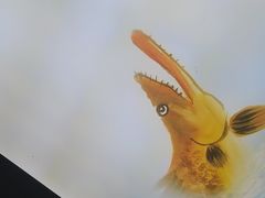 -徽三说·土徽菜·中国徽菜连锁品牌(一中店)