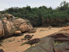 -南丫岛