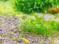 -上海大自然野生昆虫馆