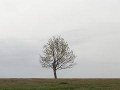 -钟山体育运动公园