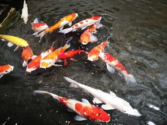 -天津波士信达奔驰4S店(卫津南路店)