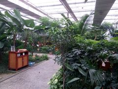 -汤山翠谷生态餐厅